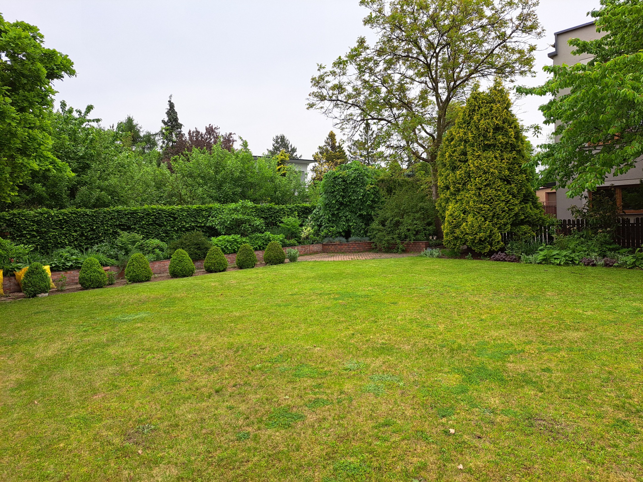 Pielegnacja ogrodu , formowanie drzewek i krzewów - koszenie trawnika