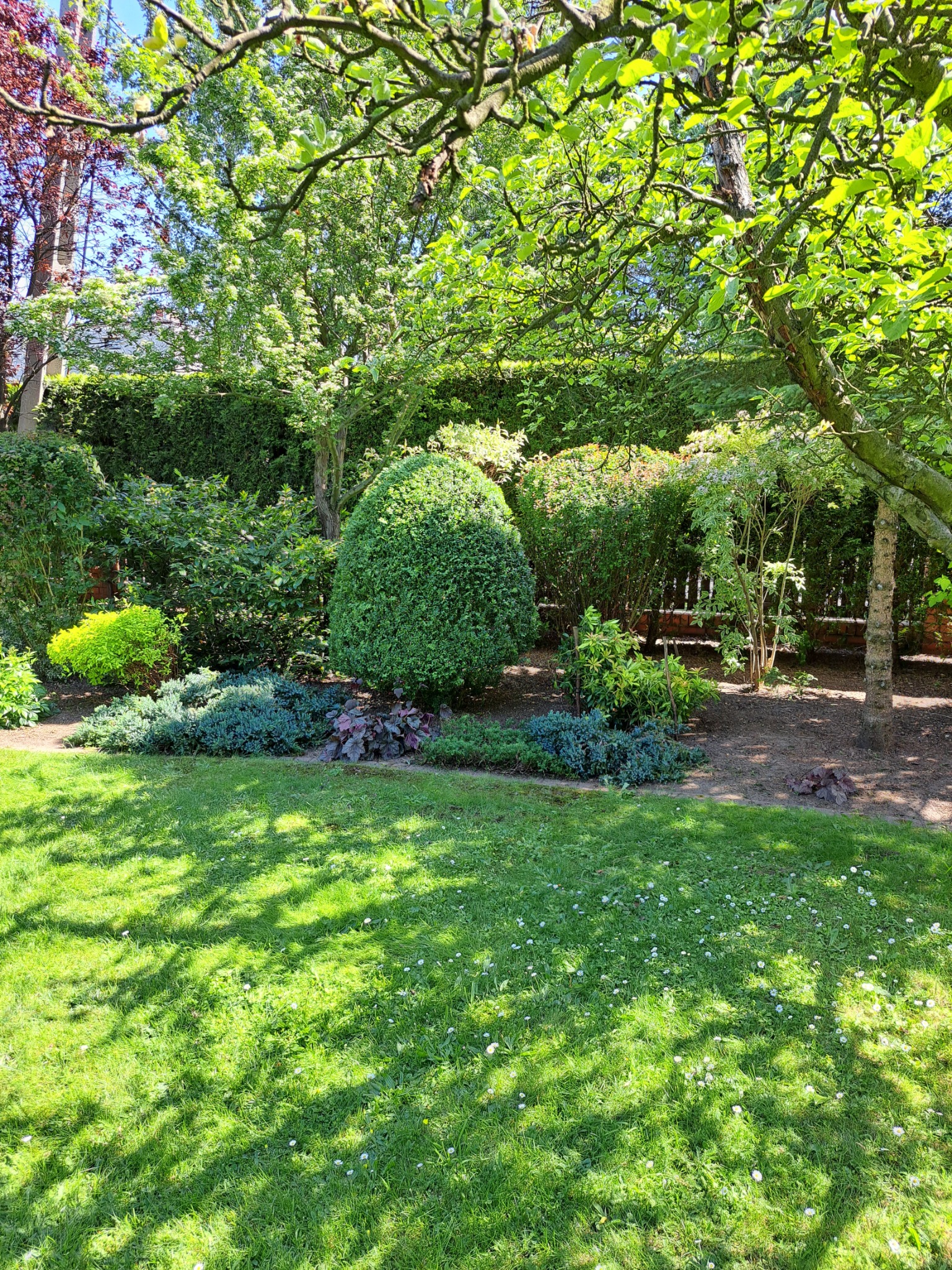 Pielegnacja ogrodu , formowanie drzewek i krzewów