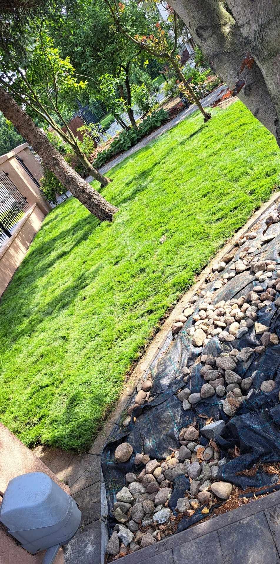 Zakładanie trawnika