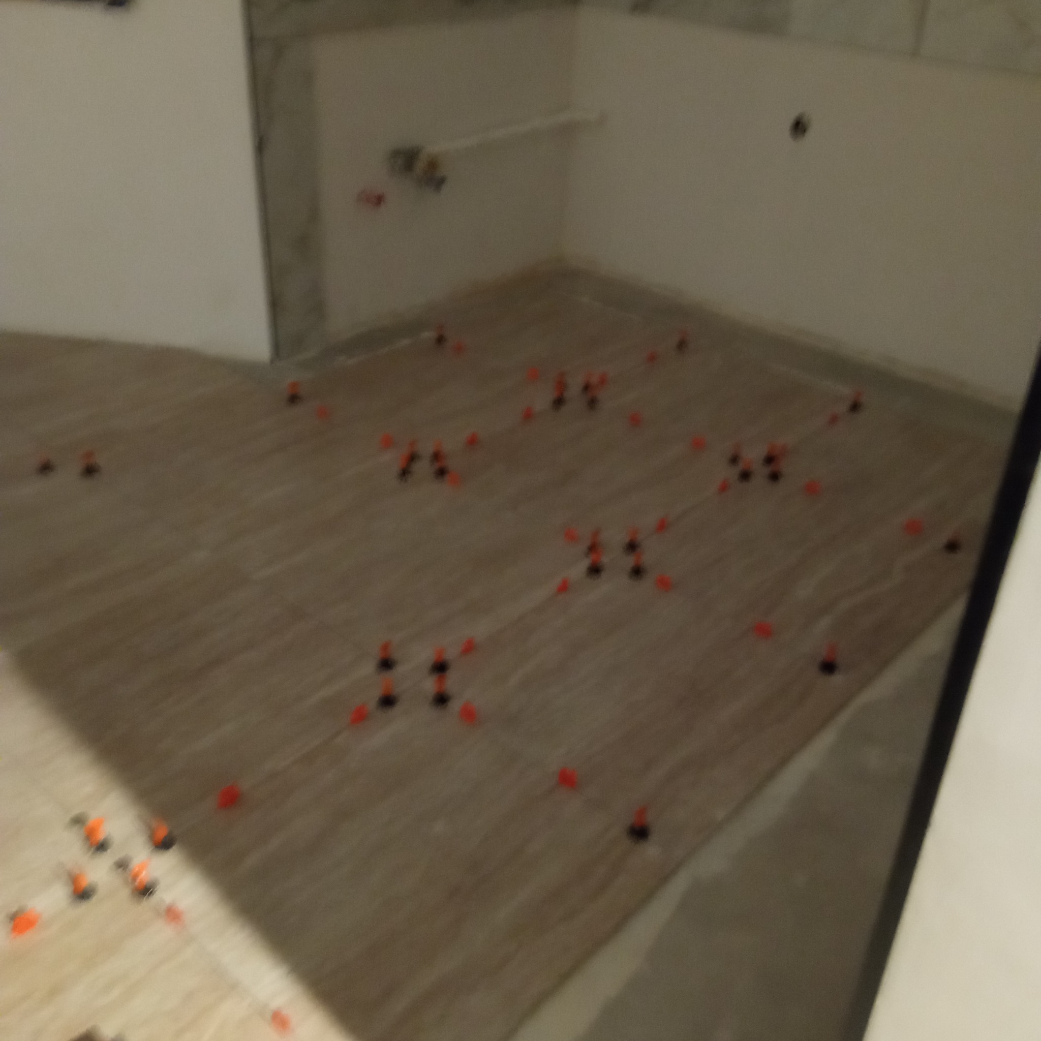 Podłoga w trakcie procesu poziomowania płytek w Kobiórze, z użyciem czarnych i pomarańczowych klinów i klipsów, widoczne ślady po fugowaniu na ścianach.