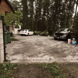 Wycinka drzew Łódź 1