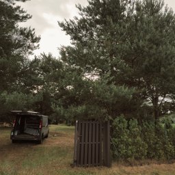 Wycinka drzew Łódź 4