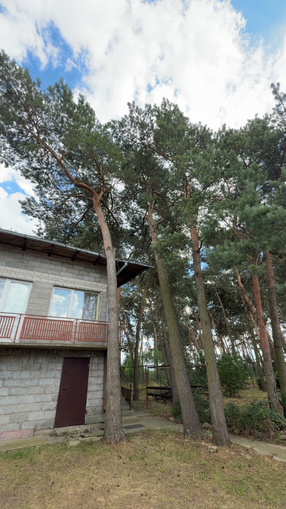 Dom z szarej cegły otoczony wysokimi sosnami, widok z dołu na błękitne niebo z chmurami. Drzewa blisko budynku, częściowo zasłaniają fasadę. Balustrada balkonu w kolorze ceglastym.