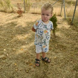 Docieplenia elewacje - Chłopiec z blond włosami w koszulce ze zwierzętami stoi na wyschniętej trawie przed metalową siatką ogrodzeniową, w tle drzewa.