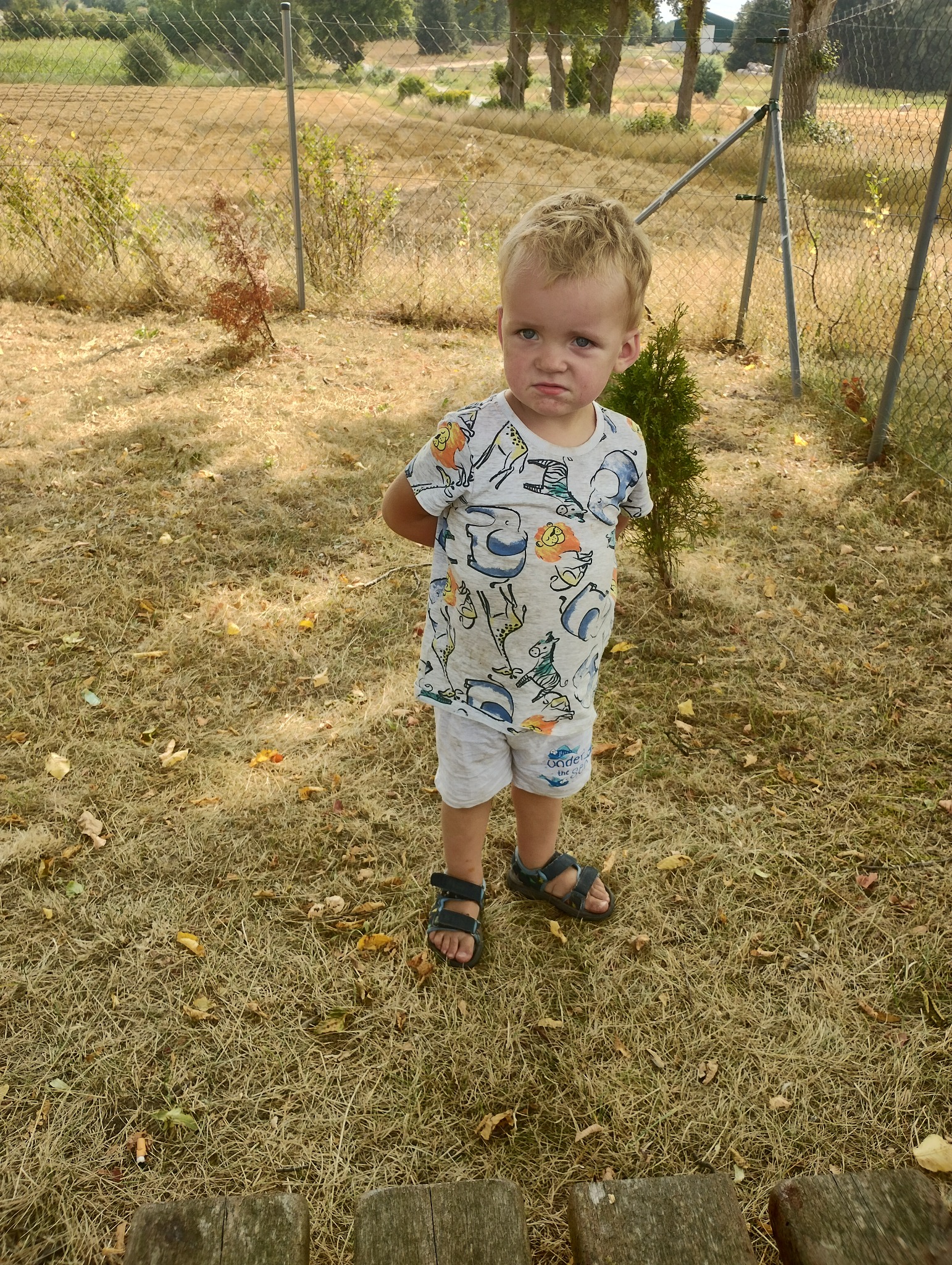 Chłopiec z blond włosami w koszulce ze zwierzętami stoi na wyschniętej trawie przed metalową siatką ogrodzeniową, w tle drzewa.