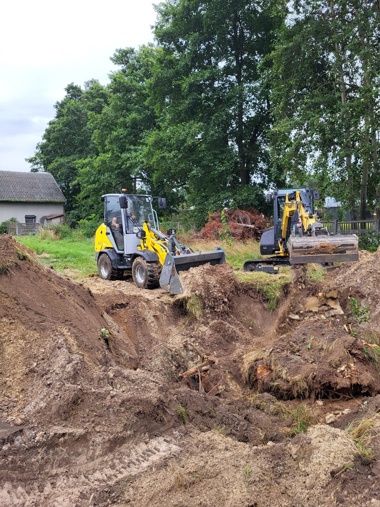 Wykopanie i zasypanie korzenia o średnicy 2m