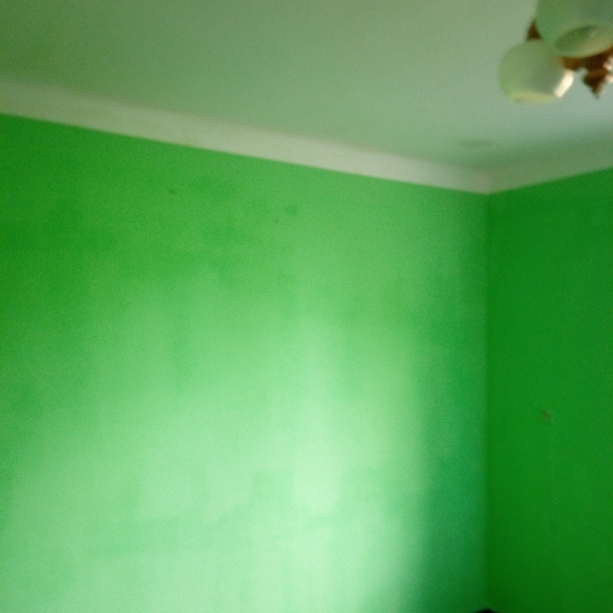 Świeżo pomalowane na zielono ściany w rogu pokoju, widoczny biały sufit i lampa na suficie.