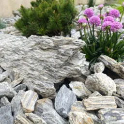 Ogród skalny z dużym, warstwowym kamieniem, karłowatą sosną i kwitnącymi na fioletowo zawciągami. Dekoracyjne kamienie w odcieniach szarości i beżu tworzą unikalną kompozycję.