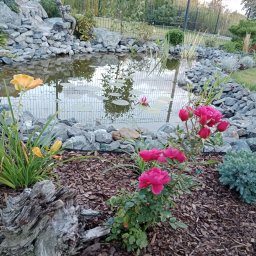 TRANSTECHNIK DZMITRY KARAVAI - Oczko wodne z kaskadą skalną, otoczone roślinnością: liliami wodnymi, różami i bylinami. Dekoracyjne drewno na pierwszym planie, w tle siatka ogrodzeniowa.