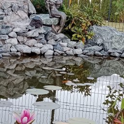 TRANSTECHNIK DZMITRY KARAVAI - Oczko wodne z kaskadą z kamieni, figurką syreny i kwitnącym lotosem. W tle iglaki i ogrodzenie. Woda odbija niebo i roślinność.