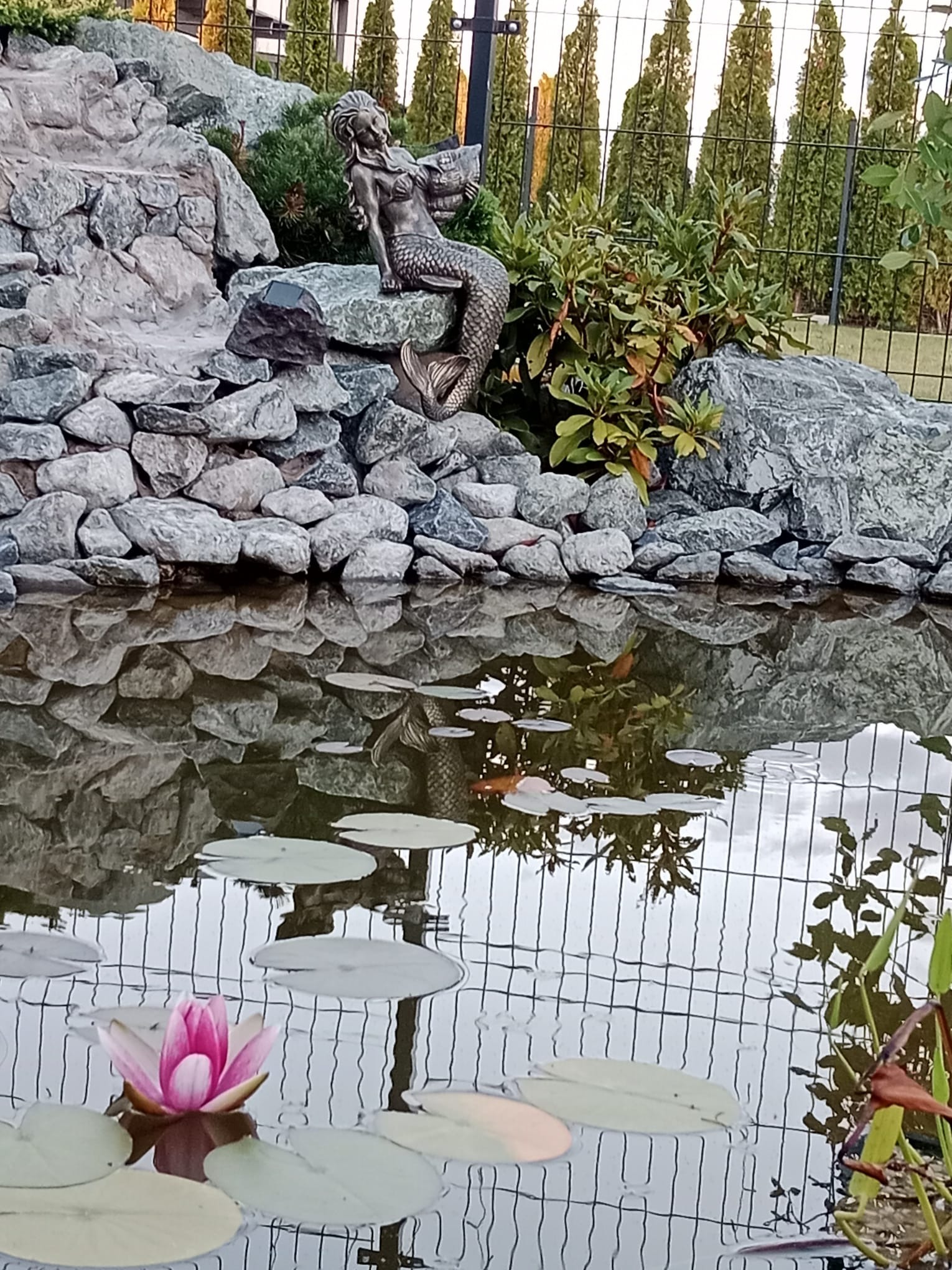 Oczko wodne z kaskadą z kamieni, figurką syreny i kwitnącym lotosem. W tle iglaki i ogrodzenie. Woda odbija niebo i roślinność.