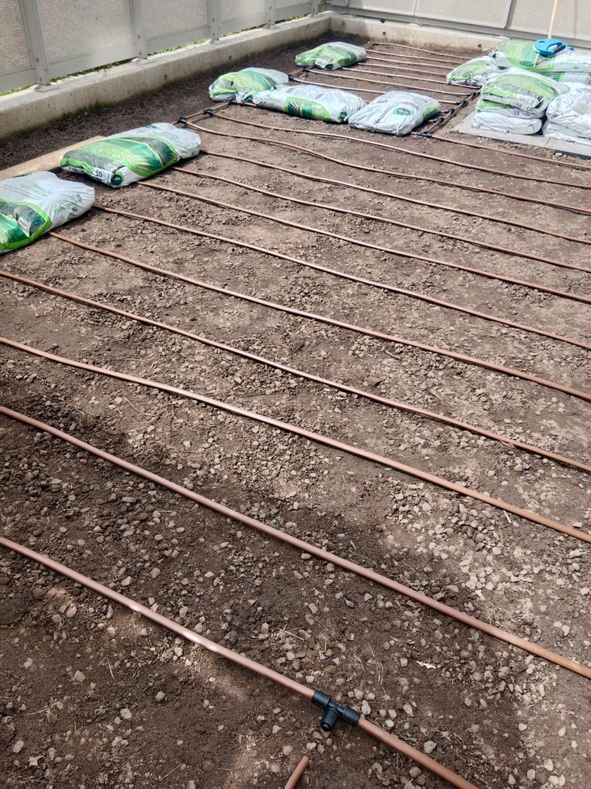 Montaż systemu nawadniania w szklarni: brązowe rury ułożone równolegle na ziemi, worki z ziemią w tle. Widoczne złączki i elementy instalacji.
