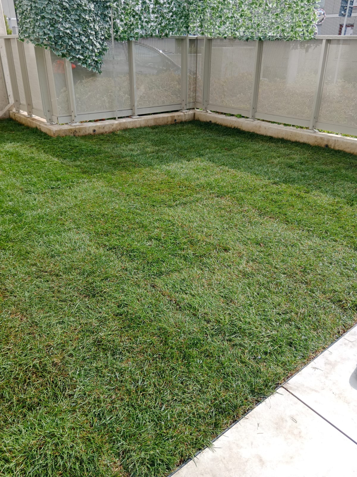 Świeżo ułożona trawa z rolki na balkonie, otoczona metalową balustradą z elementami dekoracyjnymi z zielonych pnączy. Widok z góry, równomierne oświetlenie.