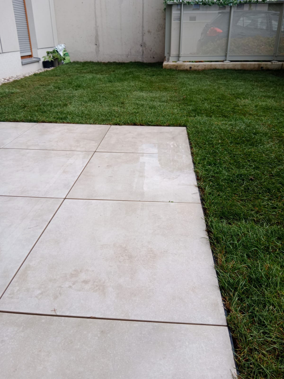 Jasne, kwadratowe płyty tarasowe sąsiadują z intensywnie zielonym trawnikiem. W tle widoczny fragment budynku i rośliny w doniczkach.