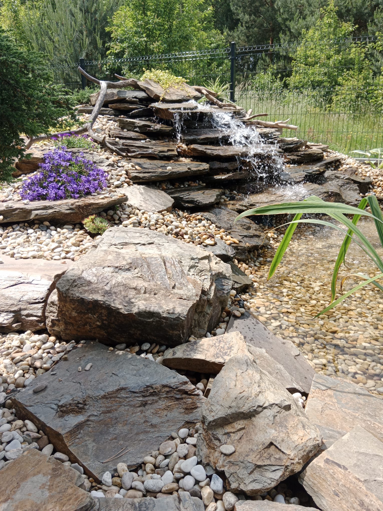 Kaskada wodna z kamieni i roślin w ogrodzie. Woda spływa po ułożonych warstwowo płytach skalnych do małego zbiornika z jasnymi kamykami. Fioletowe kwiaty i zielona roślinność.