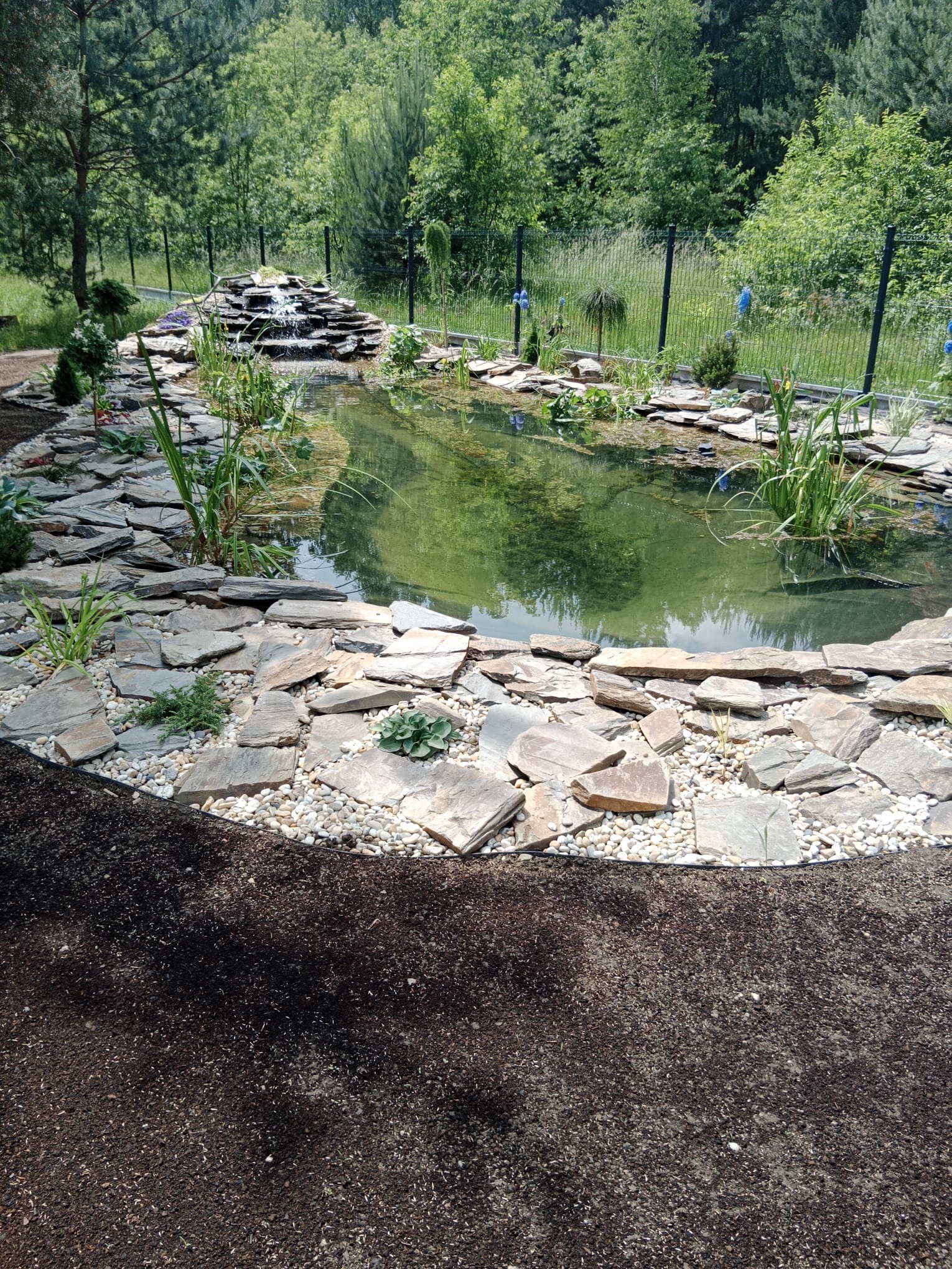 Oczko wodne z kaskadą, obłożone kamieniami i roślinnością, otoczone przygotowanym podłożem pod trawnik. W tle widoczny płot i drzewa.
