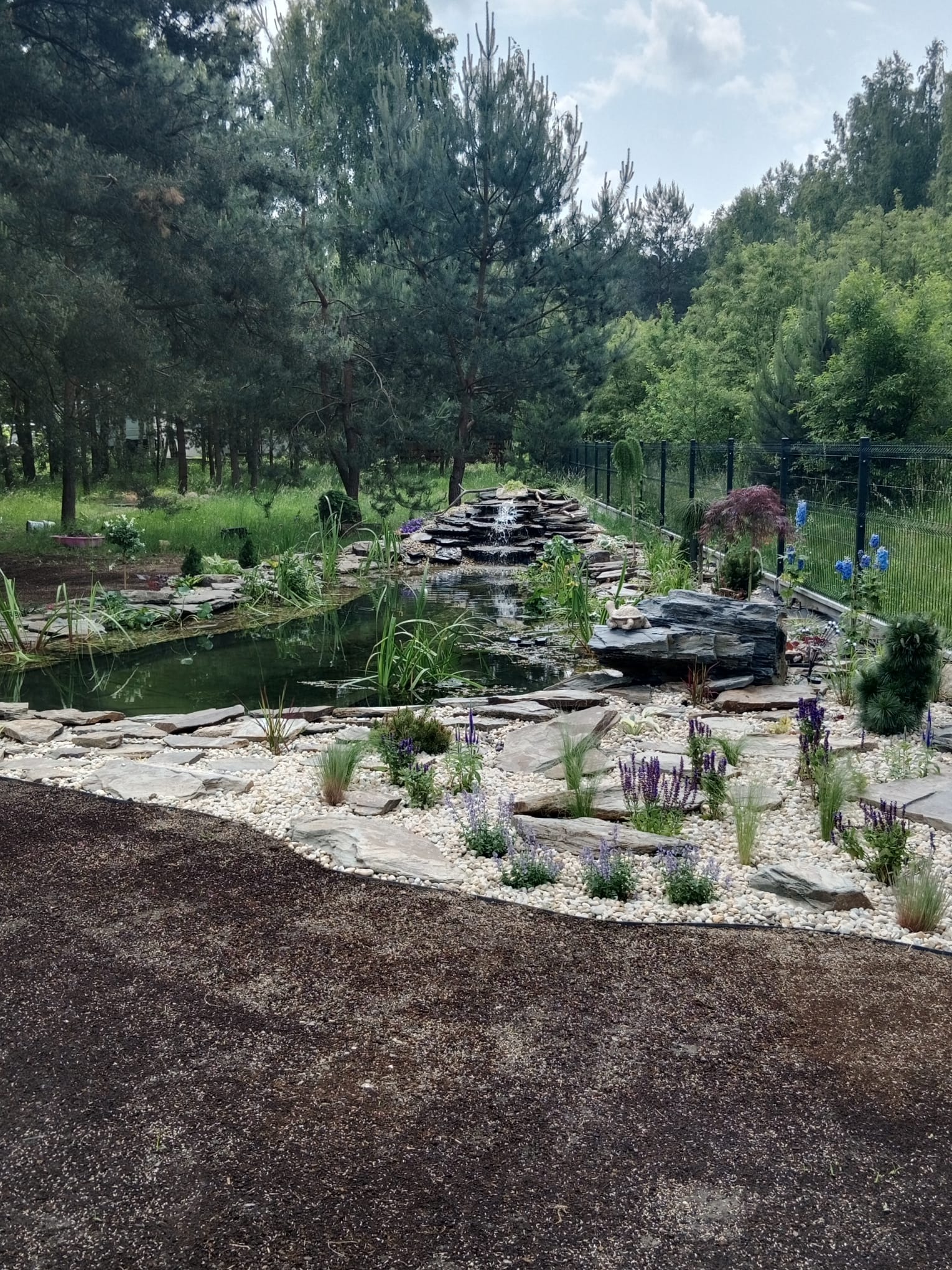 Oczko wodne z kaskadą i kamiennym brzegiem, otoczone roślinami i białym żwirem. W tle widoczne drzewa iglaste i liściaste oraz czarne ogrodzenie.