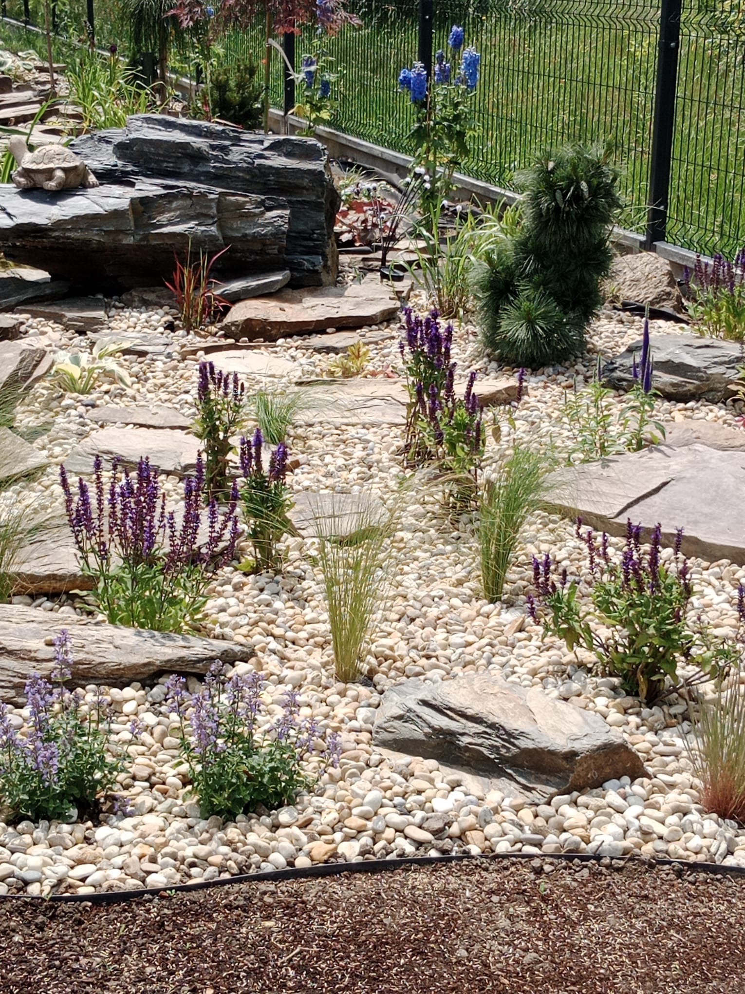 Ogród z kamieniami, żwirem i roślinami. Dekoracyjny skalniak z rzeźbą żółwia na dużym kamieniu. Kompozycja z fioletowych kwiatów i ozdobnych traw.