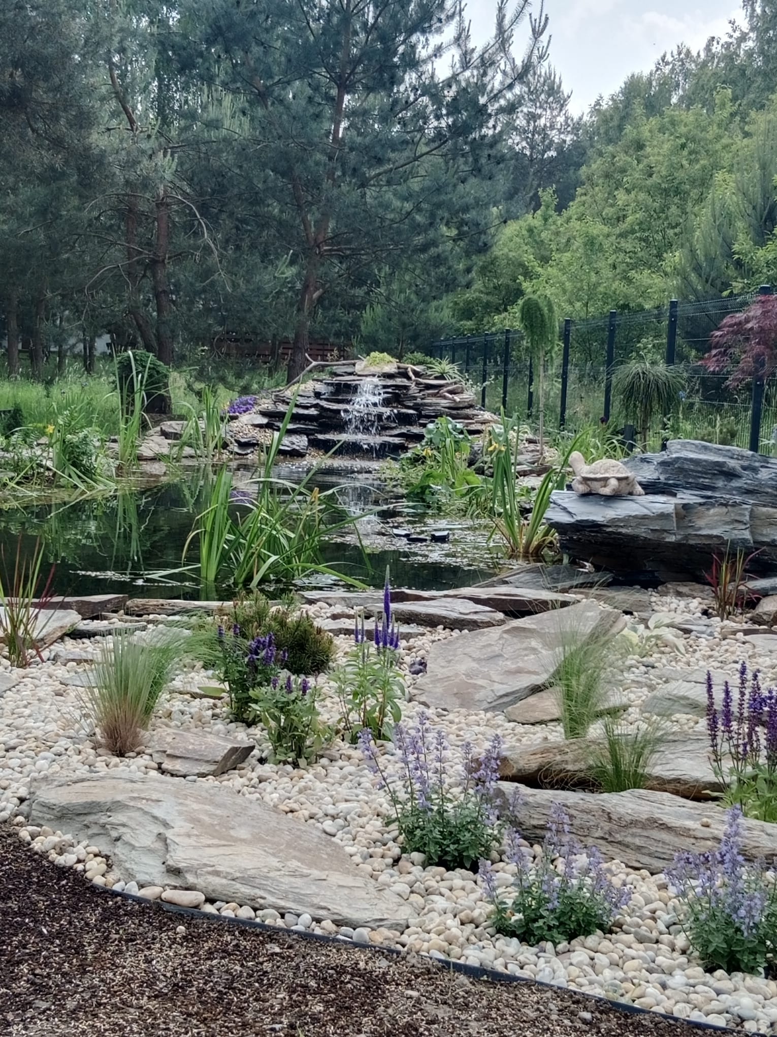 Oczko wodne z kaskadą i kamienną figurką żółwia, otoczone białymi kamykami i roślinnością. W tle drzewa i czarne ogrodzenie.