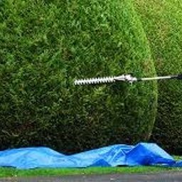 Zielony Patrol - Przed domem Otwock