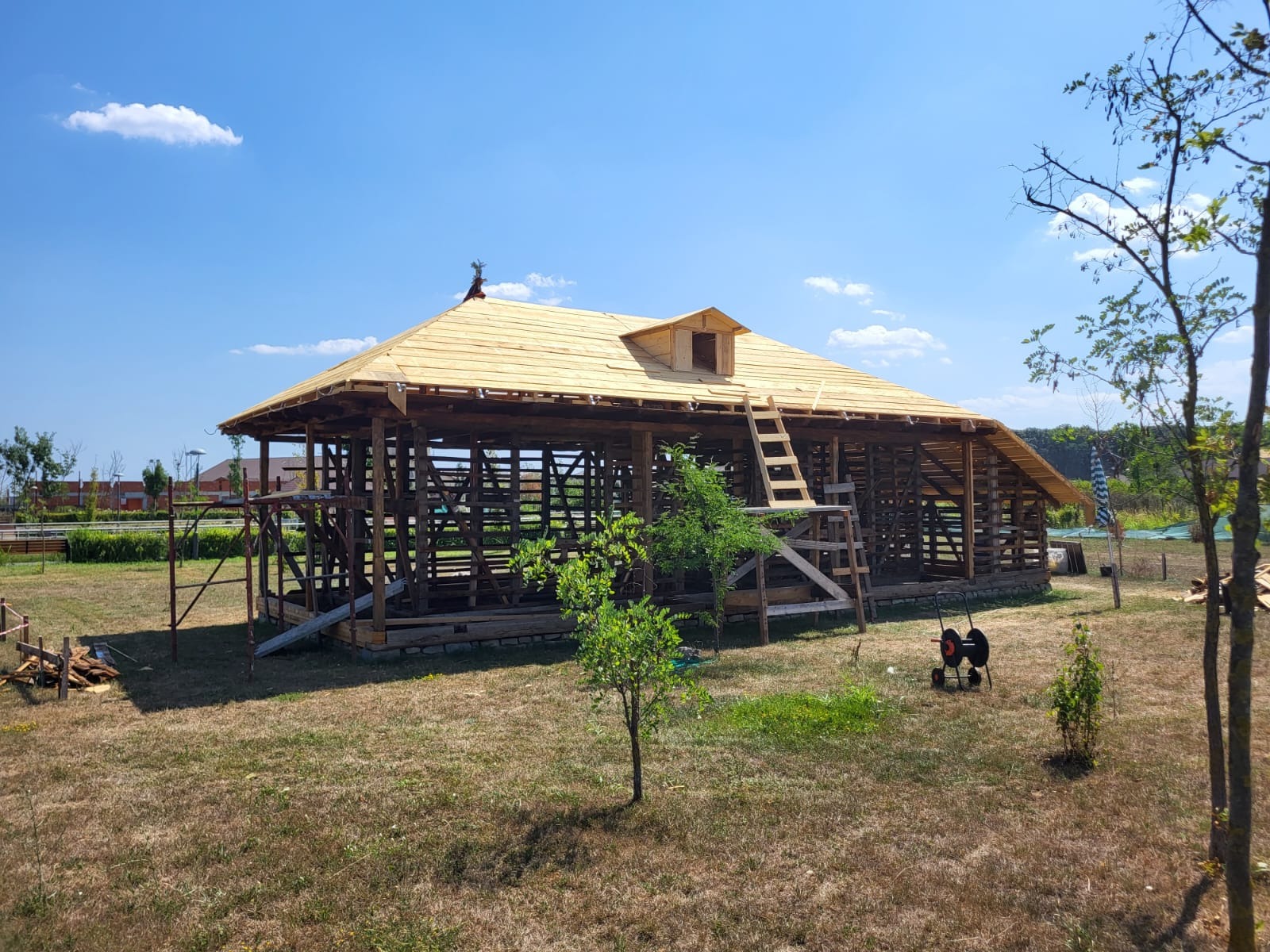 Drewniana konstrukcja budynku w trakcie budowy z częściowo położonym jasnym dachem, widoczna drabina oparta o dach, na zewnątrz trawa i drzewa, błękitne niebo.