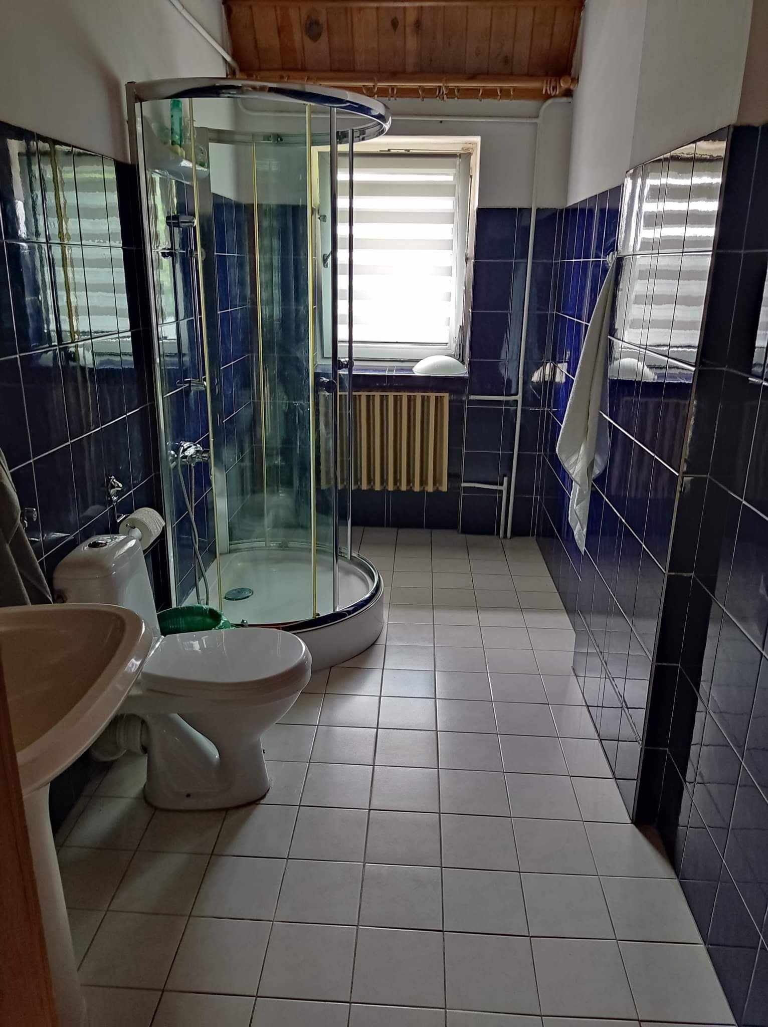 Łazienka z kabiną prysznicową, białą ceramiką, niebieskimi kaflami i drewnianym sufitem, widziana z perspektywy wejścia.