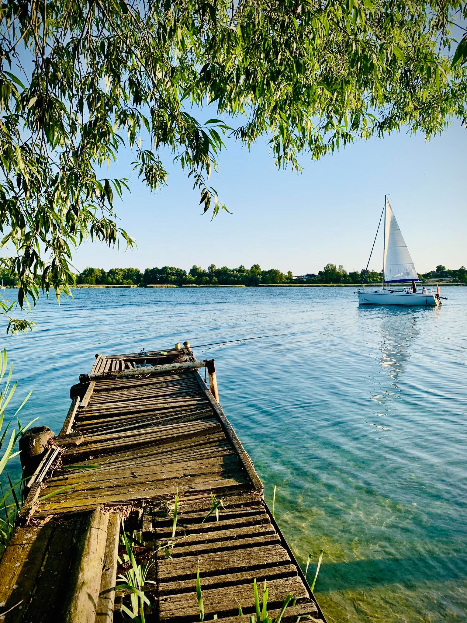 Stary drewniany pomost nad jeziorem z żaglówką w tle, widok z perspektywy liści drzewa.