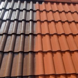 Malowanie dachów Poznań