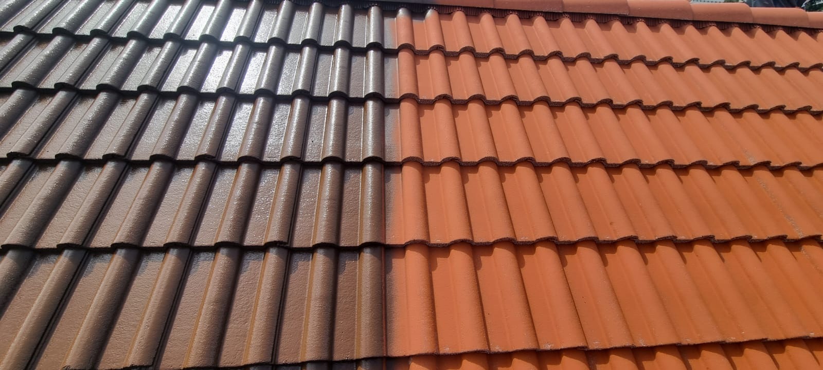 Dachówka ceramiczna: połowa wyczyszczona, druga pokryta ciemnym nalotem. Widoczny kontrast przed i po czyszczeniu. Ujęcie z góry, w słoneczny dzień.