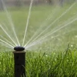 Zraszacz rotacyjny rozpylający wodę na trawniku. Widoczne promienie wody tworzące okrąg na tle zielonej trawy.