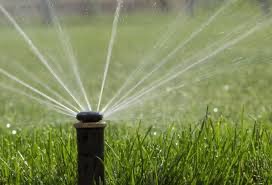 Zraszacz rotacyjny rozpylający wodę na trawniku. Widoczne promienie wody tworzące okrąg na tle zielonej trawy.