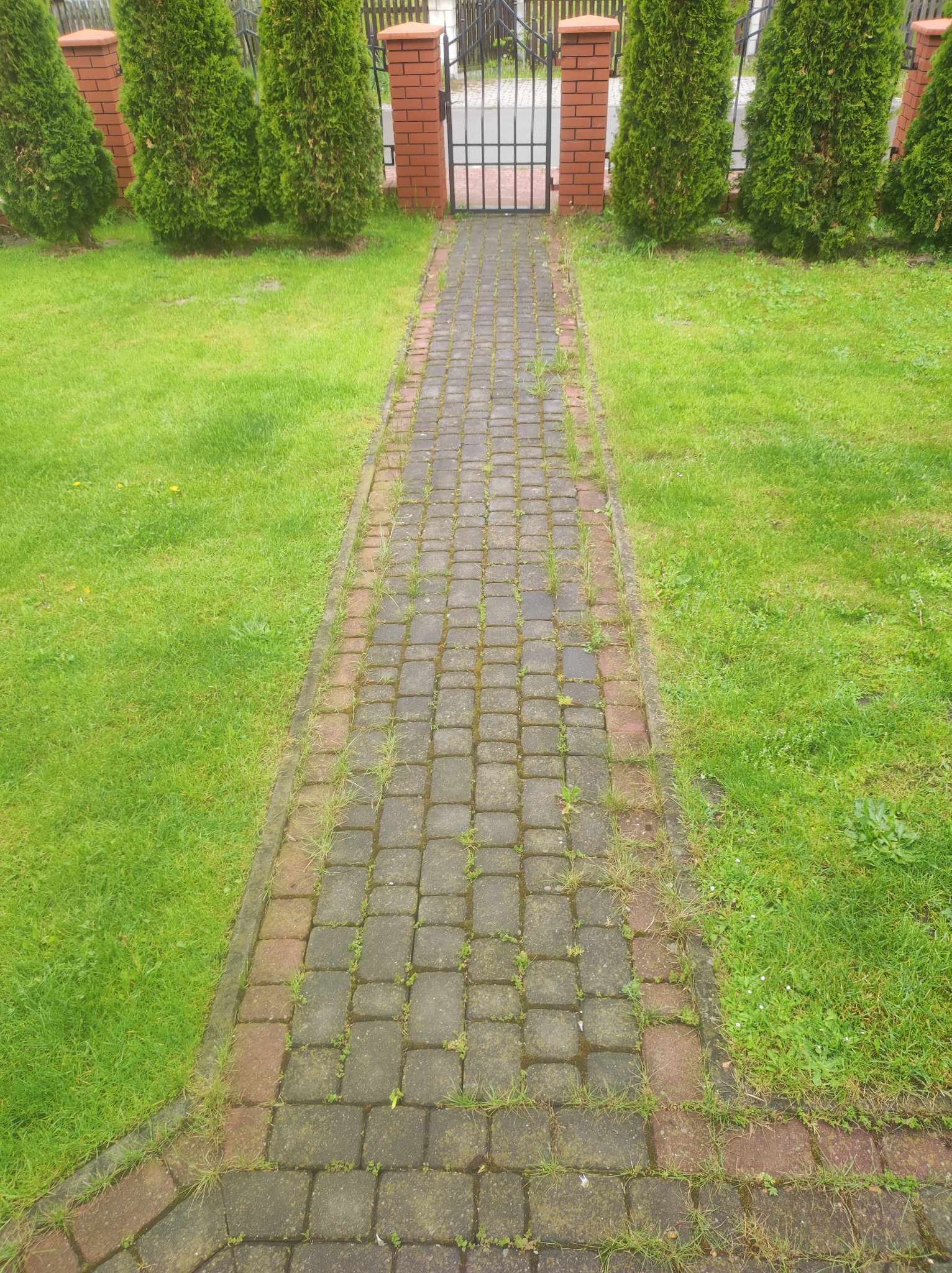 Ścieżka z kostki brukowej prowadząca do bramy w ogrodzeniu, z widocznymi chwastami rosnącymi pomiędzy kostkami.