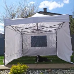 Rozłożony biały namiot na trawie w ogrodzie, z relaksującym się psem rasy border collie w środku, widoczne kamienie i krzew, błękitne niebo w tle.