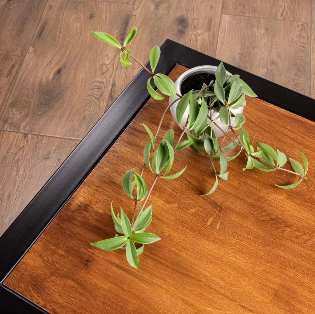 Kwitnąca roślina doniczkowa w białej osłonce, umieszczona na drewnianym blacie stolika z czarną, metalową ramą, na tle drewnianej podłogi.