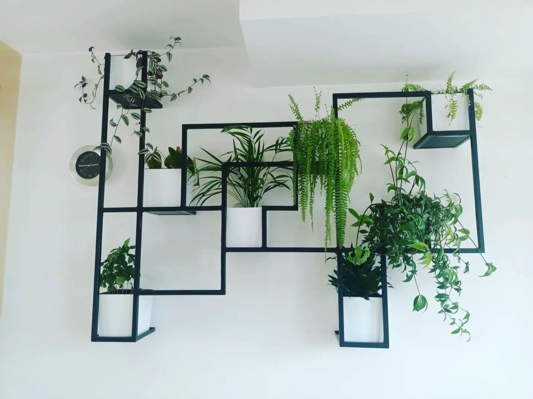 Geometryczna, metalowa półka ścienna z roślinami doniczkowymi w białych osłonkach, wisząca na białej ścianie, widoczny fragment zegara.