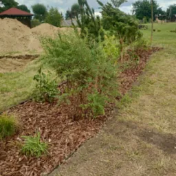 Świeżo posadzone drzewka i krzewy obsypane korą na rabacie w ogrodzie, w tle widoczna sterta ziemi i altana.
