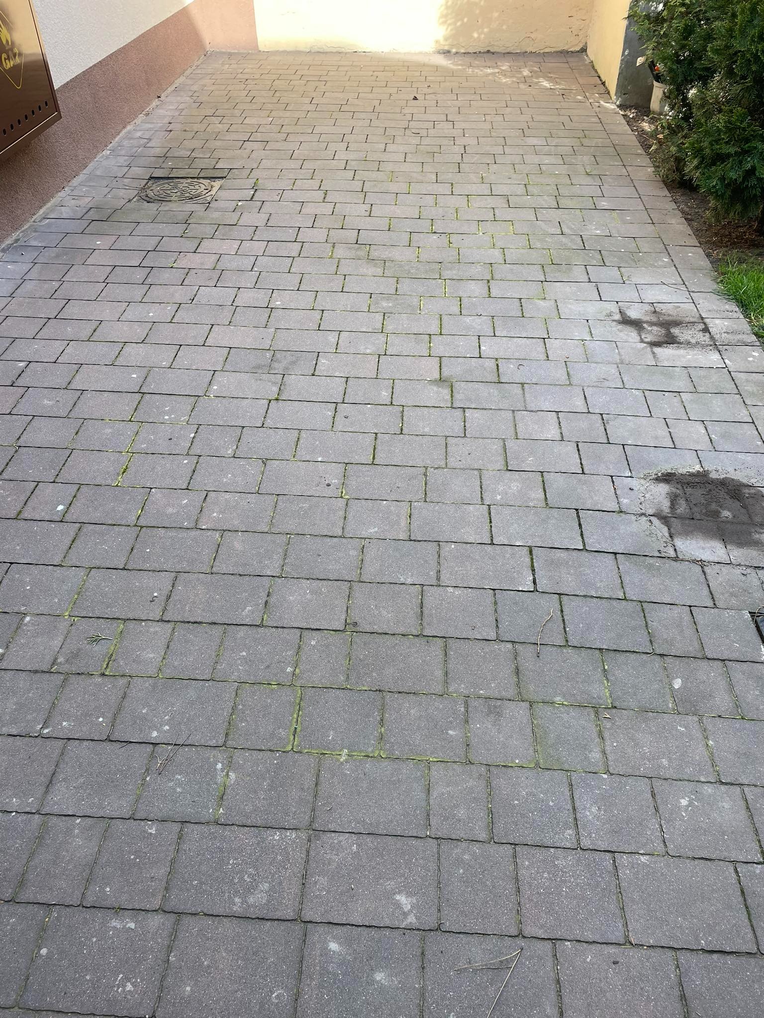 Zabrudzona kostka brukowa z mchem i pleśnią.