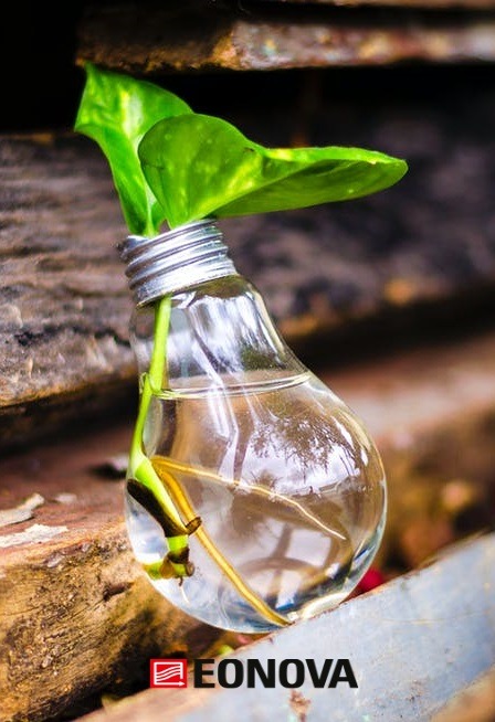 Żarówka przerobiona na wazon z rośliną, prezentująca ideę recyklingu w kontekście ochrony środowiska, z logo firmy EONOVA w dolnym rogu.