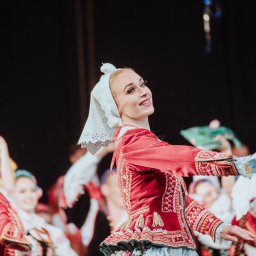 Koncert Zespołu Śląsk