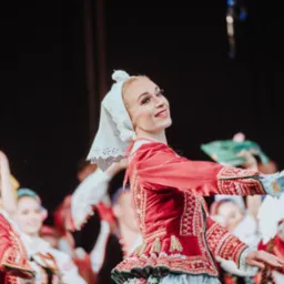 Koncert Zespołu Śląsk