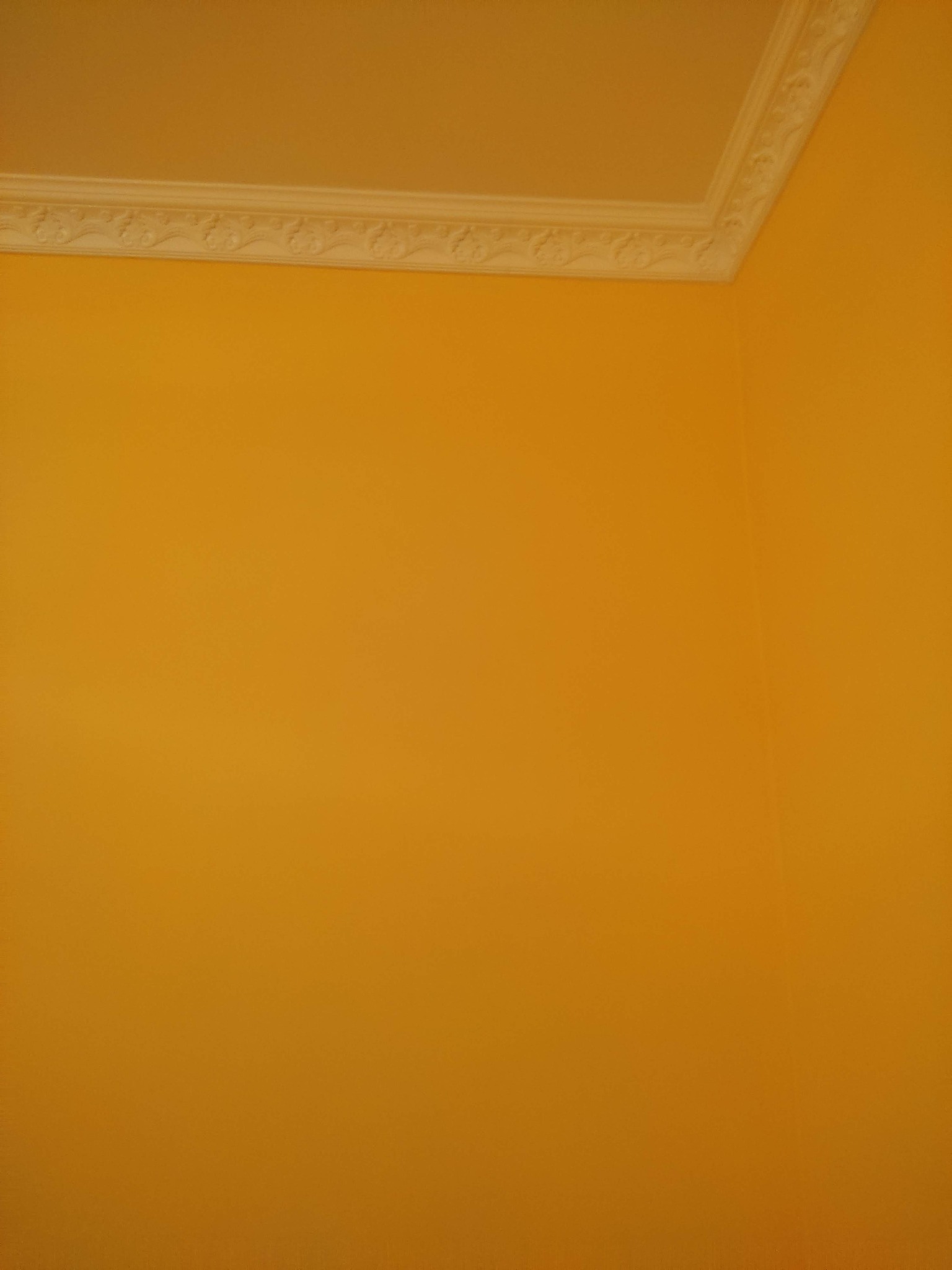 Ściana pomalowana na kolor musztardowy z dekoracyjnym, białym sztukateryjnym obramowaniem pod sufitem w rogu pokoju.