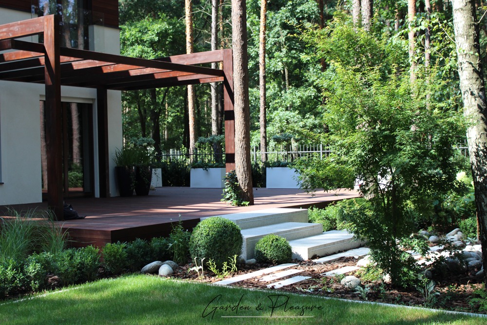 Nowoczesny ogród z drewnianym tarasem i pergolą, schody z jasnego kamienia prowadzą do ogrodu z kulistymi krzewami i drzewami, w tle las.