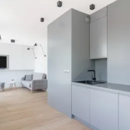 Nowoczesna, szara zabudowa kuchenna z czarną armaturą i zlewozmywakiem, widok na salon z szarą sofą i drewnianą podłogą.