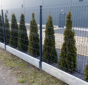 Szare ogrodzenie panelowe z podmurówką betonową, za którym rosną tuje. Tło stanowi szara hala. Ujęcie z niskiej perspektywy, podkreślające regularność ogrodzenia.