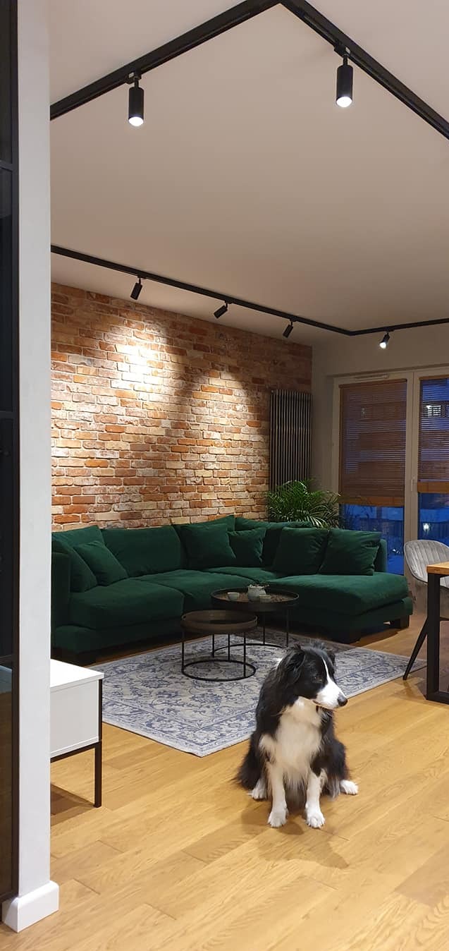 Salon z ceglaną ścianą, ciemnozielonym narożnikiem, okrągłymi stolikami kawowymi na wzorzystym dywanie i psem rasy Border Collie siedzącym na drewnianej podłodze, oświetlenie szynowe.
