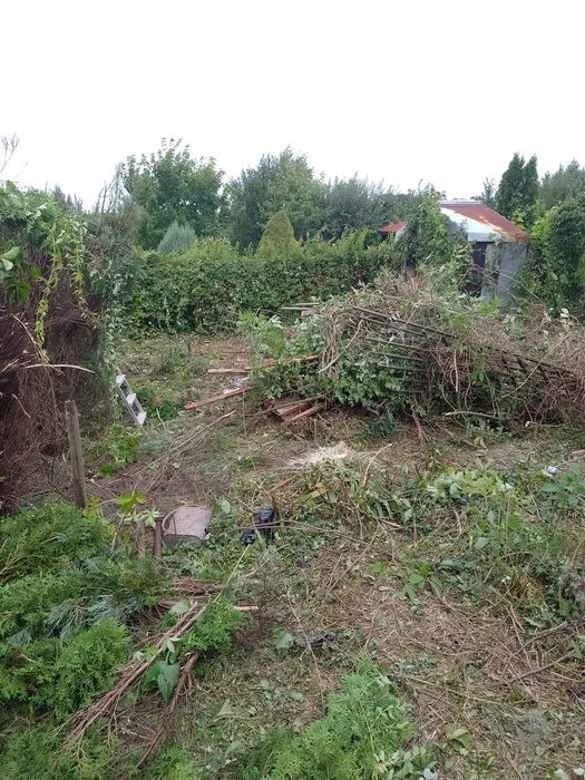 Teren po wycince krzewów i drzew, widoczne gałęzie, pnie i resztki roślinności, w tle budynek gospodarczy z czerwonym dachem.