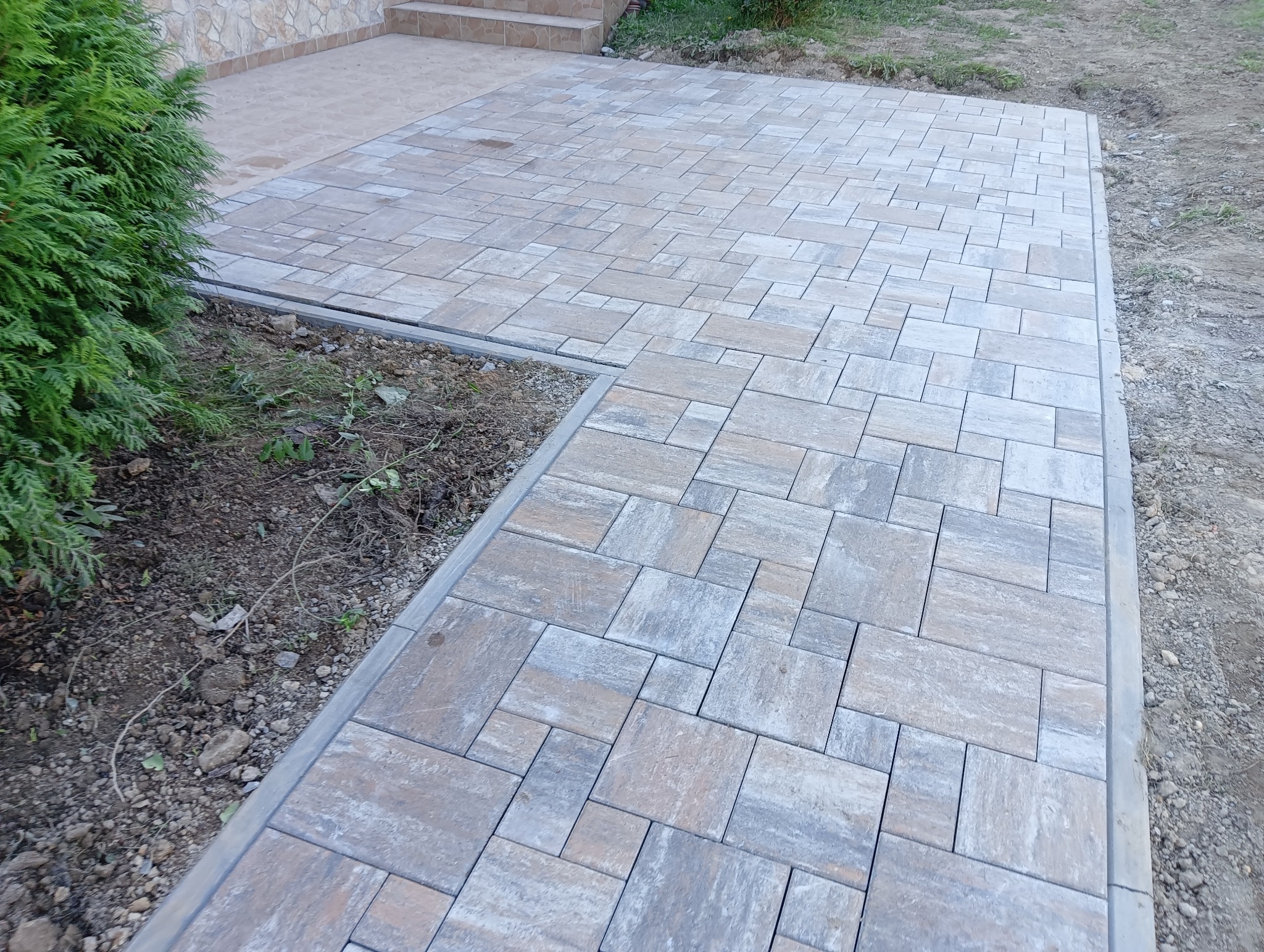 Ułożona kostka brukowa w odcieniach szarości i beżu, tworząca ścieżkę prowadzącą do schodów, obok rosnący krzew iglasty, widoczne obrzeża i fragment niezagospodarowanej ziemi.
