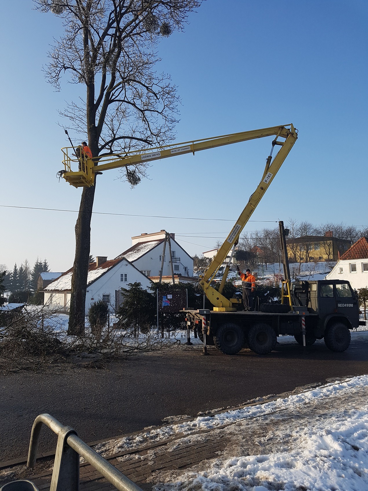 Pracownik w pomarańczowej kamizelce na podnośniku koszowym, przycina gałęzie wysokiego drzewa z jemiołą, na tle zimowego krajobrazu z domami.