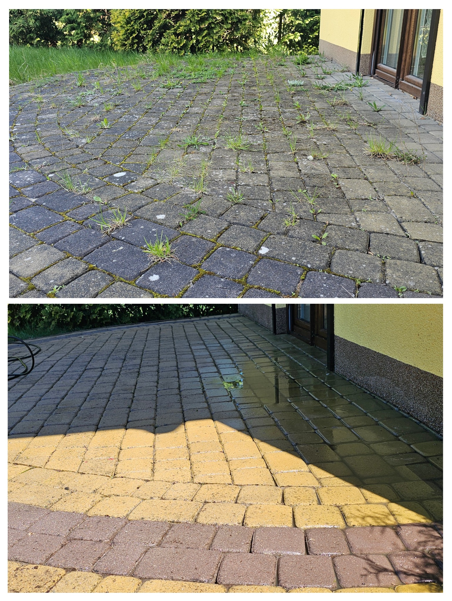 Porównanie kostki brukowej przed i po czyszczeniu: zarośnięta mchem i chwastami kontra odświeżona, z widocznym cieniem i mokrą powierzchnią.