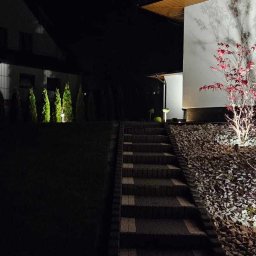 Firma Usługowa 2P inż. Paweł Puto - Oświetlony ogród nocą: ścieżka z kostki prowadzi do domu, podświetlone drzewka ozdobne z czerwonymi liśćmi otoczone kamieniami, w tle rząd zielonych drzew iglastych z punktowym oświetleniem.